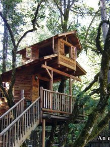 Tree Houses For Adults