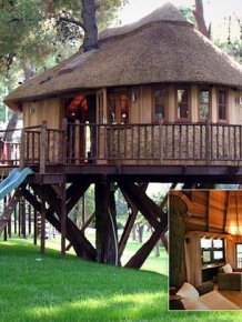 Tree Houses for Adults