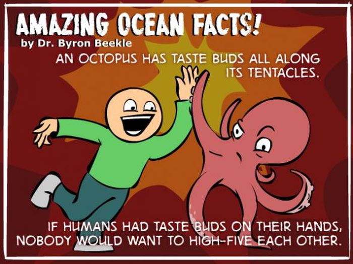 interesting-ocean-facts-2.jpg