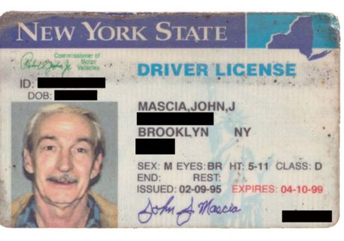 New York State Drivers License Decipher