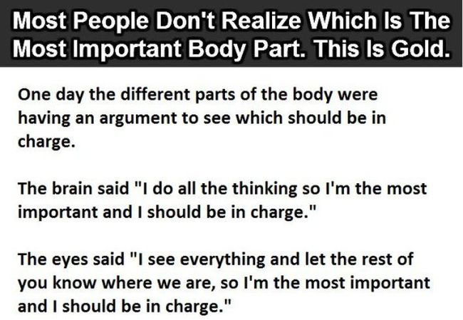 most-people-don-t-know-which-is-the-most-important-body-part-others