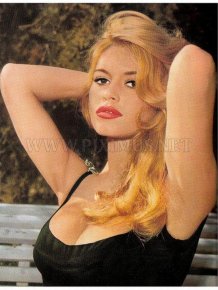 Vintage Pin-Up Post Cards of American and European Film Stars