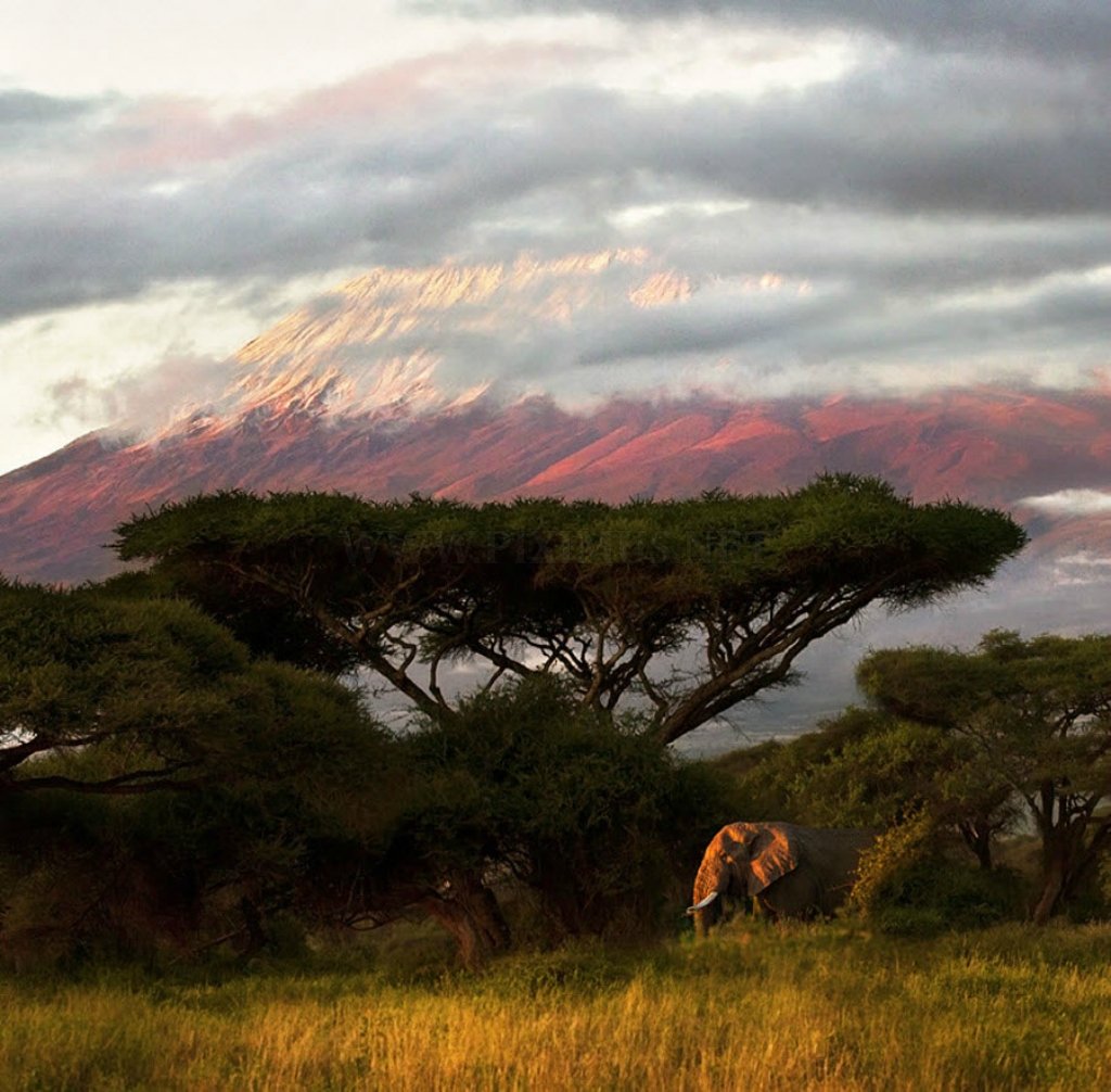 Astonishing Beauty of Kenya
