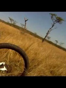Mountain Biker gets taken out by antelope