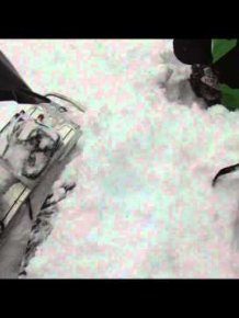 Snowmobilers dig out man buried alive by avalanche