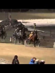 Live Sex on Horse Racing in Norway