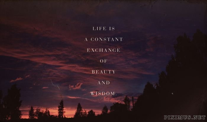 Quotes of Wisdom 