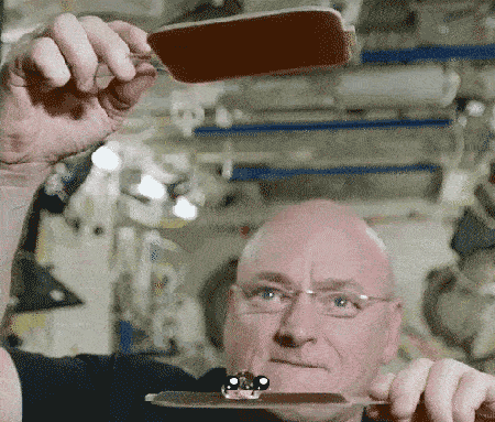 gifs-become-so-much-more-entertaining-when-you-put-faces-on-them-20.gif
