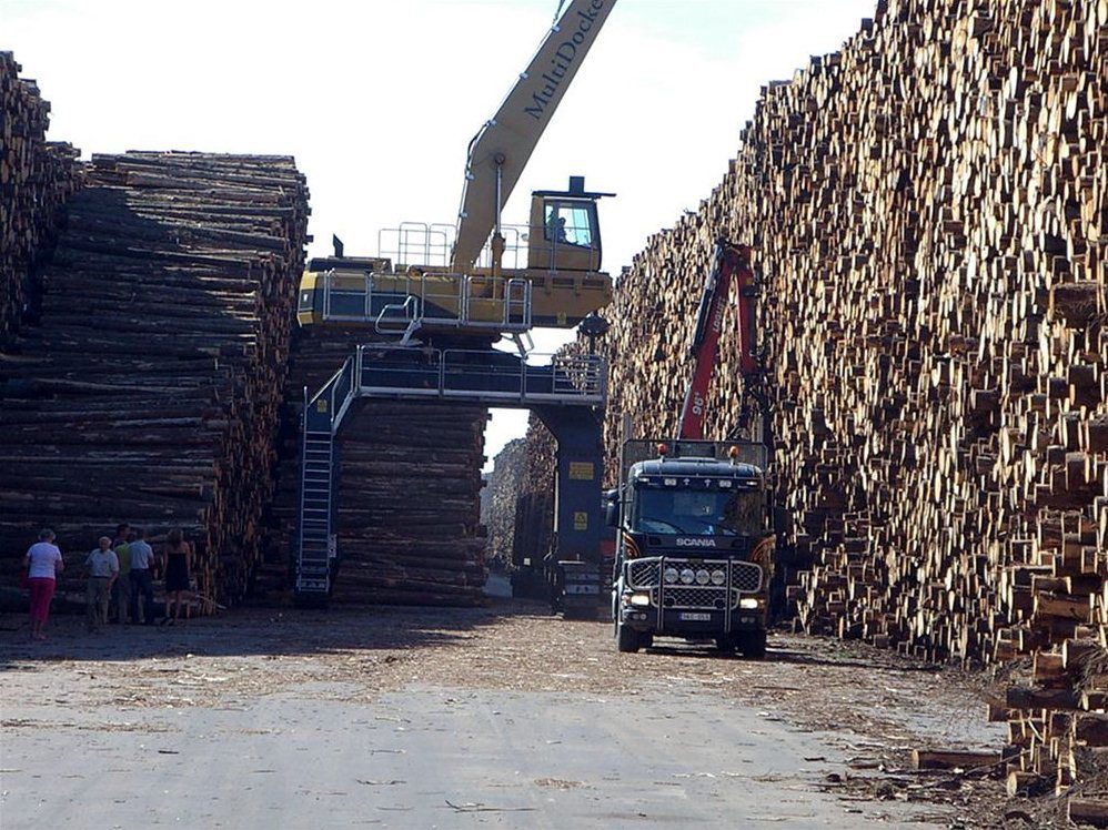 World’s Biggest Timber Storage 