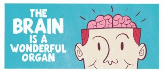 The Brain is a Wonderful Organ