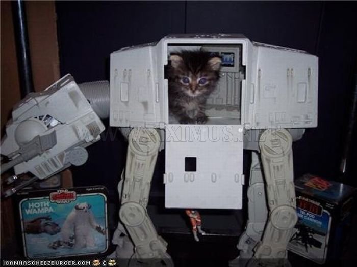 Star Wars Cats 