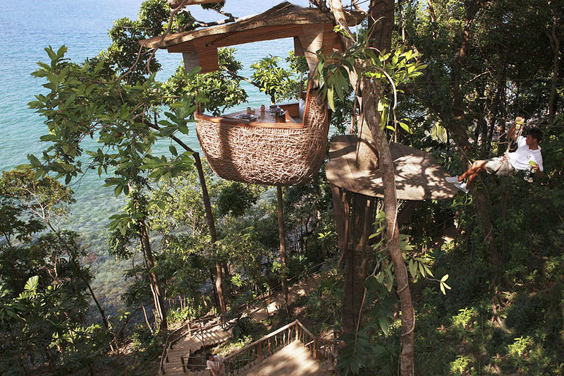 Luxurious Restaurant at the Treetop 