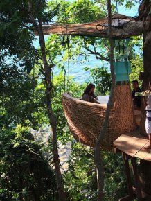 Luxurious Restaurant at the Treetop 