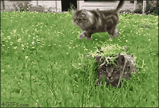 Daily GIFs Mix, part 14