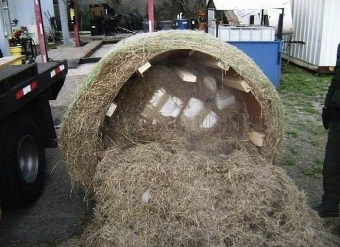 What's Inside This Haystack? 