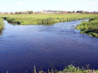 Two Rivers Cross Each Other Without Mixing 