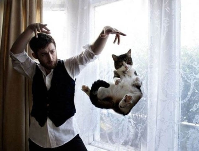 Hilariously Confusing Cat Pictures 