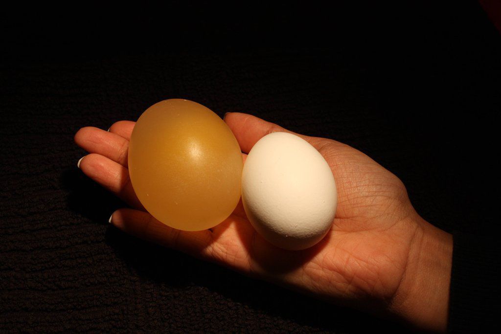 What Happens To An Egg Submerged In Vinegar Others