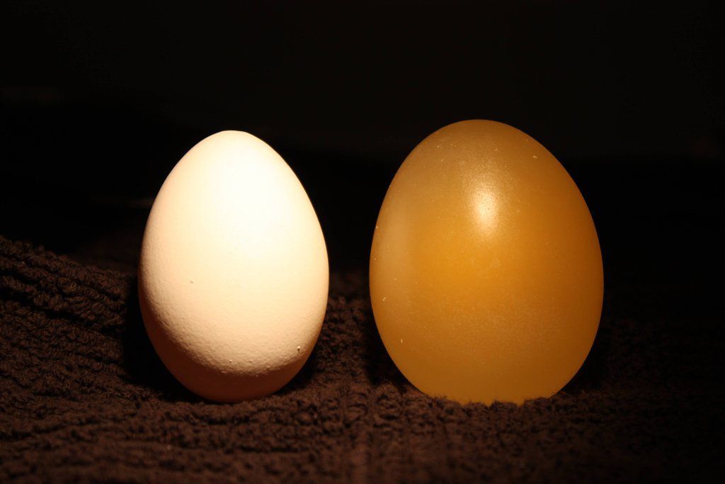 What Happens To An Egg Submerged In Vinegar Others