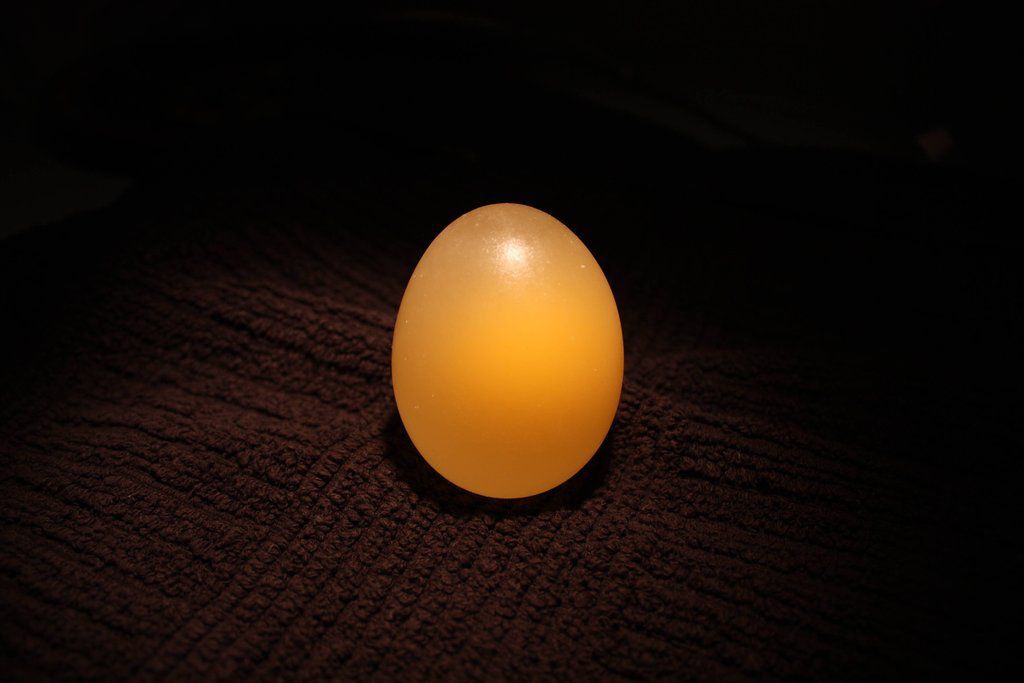What Happens to an Egg Submerged in Vinegar 
