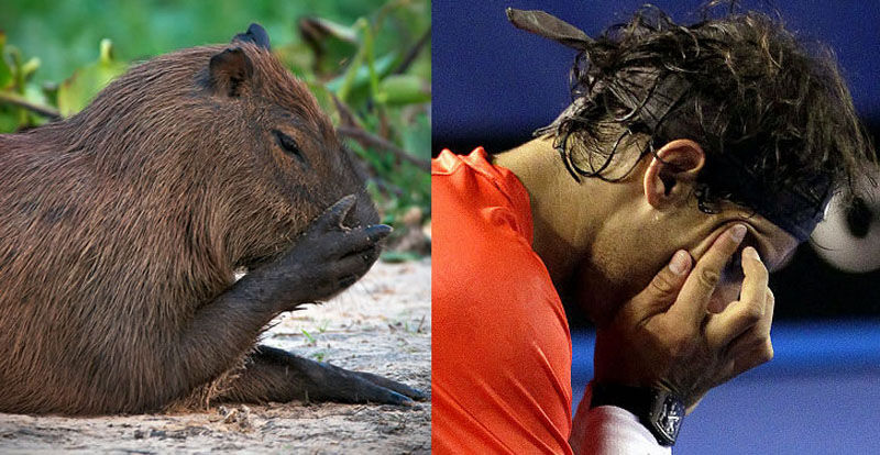 We Just Found a Lookalike of Rafael Nadal 