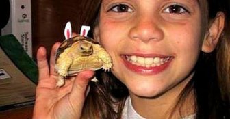 Young Girl and Turtle Grow Up Together 