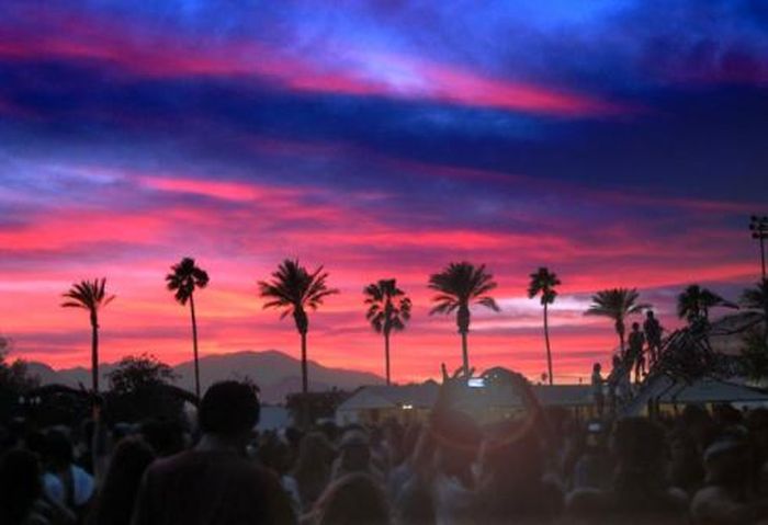 Coachella Festival