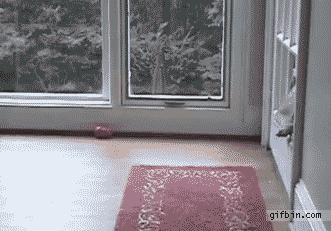 Daily GIFs Mix, part 24