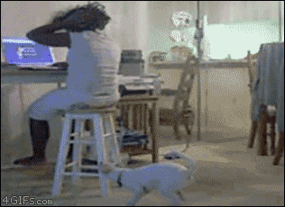 Daily GIFs Mix, part 24