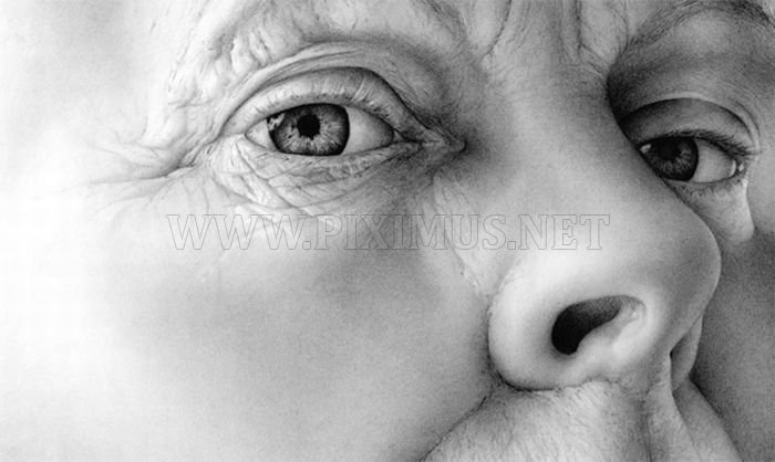 Very Realistic Black and White Drawings 