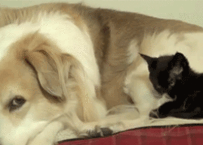 Daily GIFs Mix, part 25