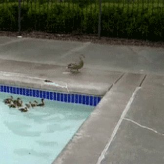 Swimming Lesson