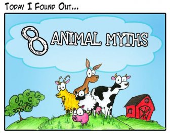 Animal Myths Dispelled