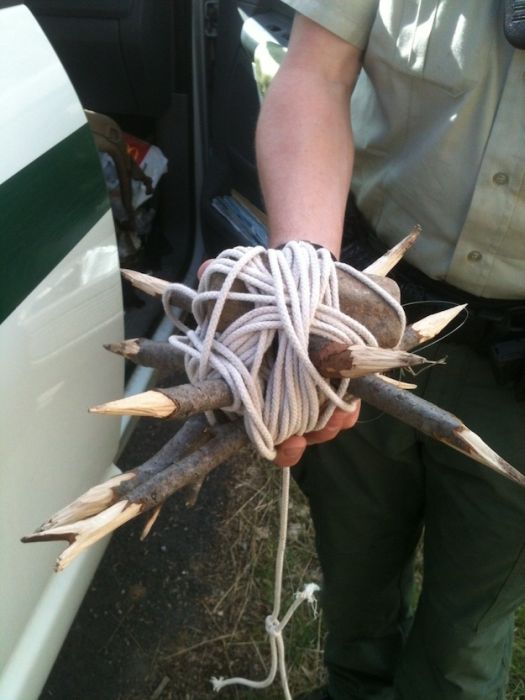 Two Idiots Arrested For Putting Traps In Provo Canyon Park