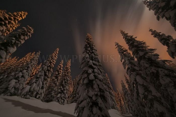 Amazing Winter Photography 