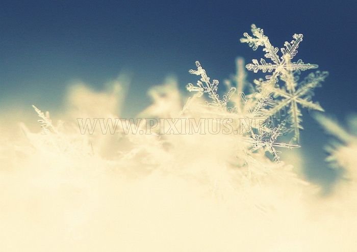Amazing Winter Photography 