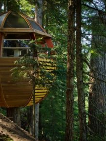 Squatter Tree House in Canada
