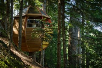 Squatter Tree House in Canada