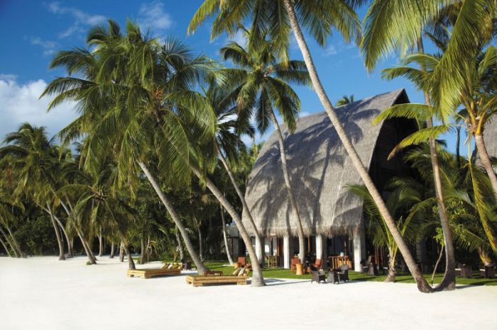 You Want to go to the Maldives Villingili Resort and Spa 