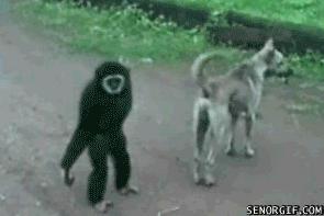 Daily GIFs Mix, part 31