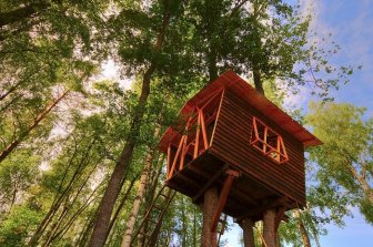 How to Build an Awesome Treehouse