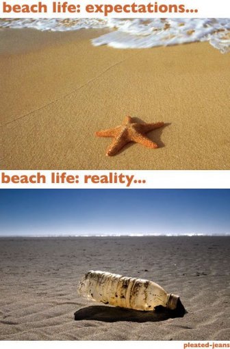 Beach Expectations vs Reality