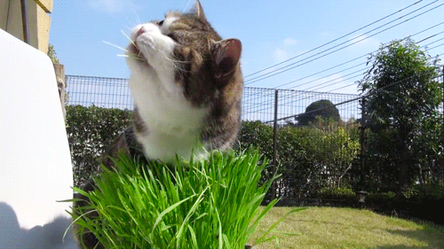 Daily GIFs Mix, part 36