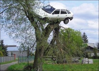 Car on the Top of a Tree