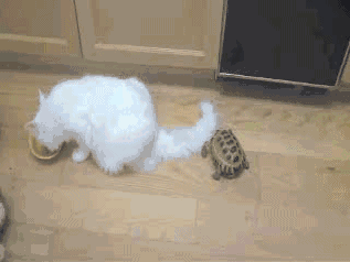 Daily GIFs Mix, part 37