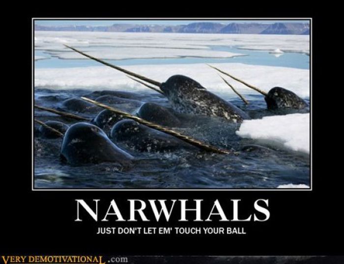 Funny Demotivational Posters, part 73