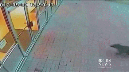 Daily GIFs Mix, part 38