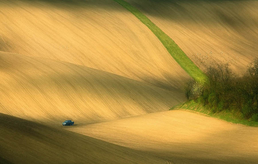 Green fields of Moravia