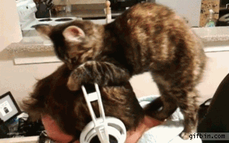 Daily GIFs Mix, part 40