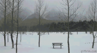 Daily GIFs Mix, part 42